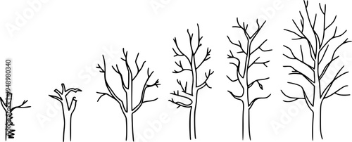 Bare tree silhouettes showing growth stages from sapling to branching structure