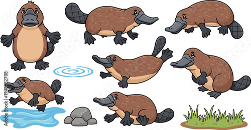 Cute Cartoon Platypus Character Set with Water Ripples Rocks Grass Vector Illustration