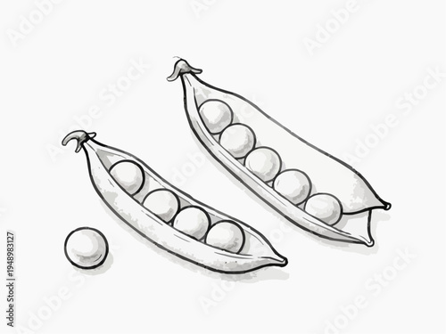 Peas in pods, minimalist illustration, monochrome style, nature concept
