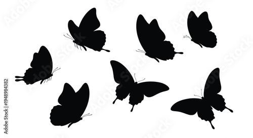 Several black silhouettes of butterflies in various flight poses