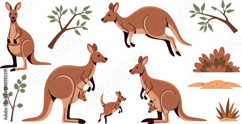 Cute Cartoon Kangaroo Character Set with Baby Joey Bush Branch Vector Illustration