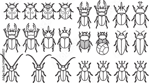 Detailed illustration showcasing a variety of insects, offering a clear view of their intricate forms and unique characteristics. Ideal for entomological studies, educational resources.