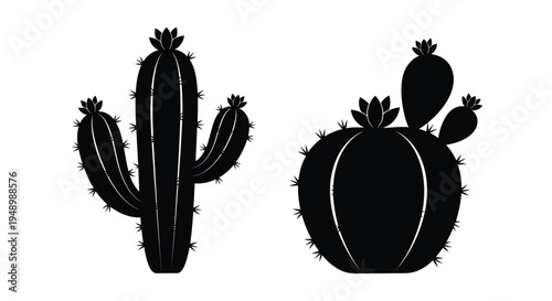 Black silhouette illustration of two different cactus plant varieties