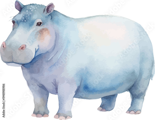 Watercolor Hippo Painting, River Animal vector illustration isolated on white background