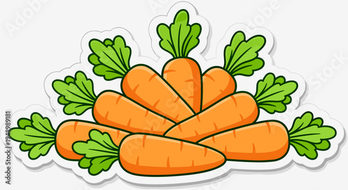 Carrots arranged in a stack with green tops sticker on a white background showing fresh harvest produce in a simple design