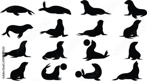 Various Poses of Black Seal Silhouettes with and Without Ball Keywords: seal, sea lion, marine mammal, animal, wildlife, aquatic