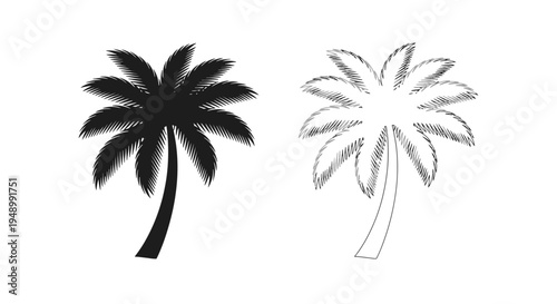 Two palm tree illustrations one solid black one with linear detailing