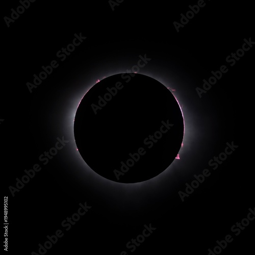 Solar prominences (often called protuberances) appearing as pink or red flame-like gaseous structures during a total solar eclipse