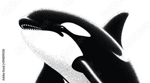 Black and white illustration of an orca whale with a stippled texture on a white background