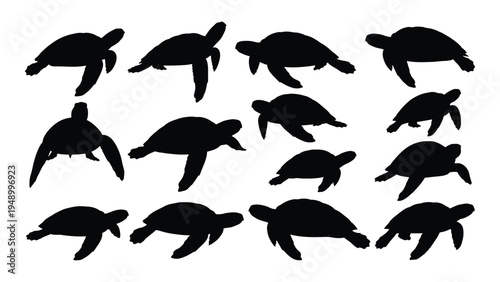 Detailed analysis of turtle silhouettes in various swimming positions and angles