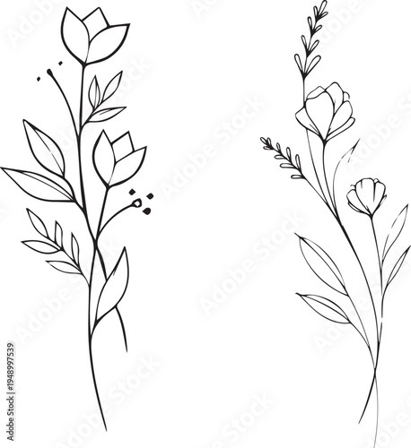 black and white floral background