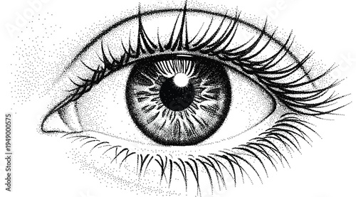 A detailed illustration of a human eye with long eyelashes on isolated white background