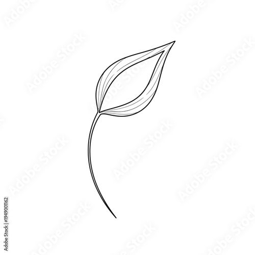 Elegant Single Leaf Outline on Stem.