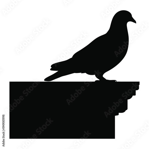 Pigeon perched on a ledge Vector, Silhouette, Illustration
