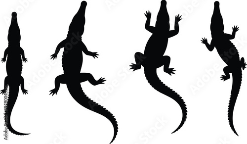 Lizard silhouette set vector illustration, reptile gecko salamander animal shapes isolated, wildlife nature design collection