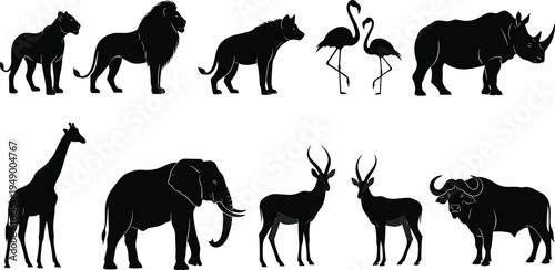 A black vector silhouettes collection of wild animals and farm horses featuring a set of wildlife icons like lions and elephants for nature illustrations