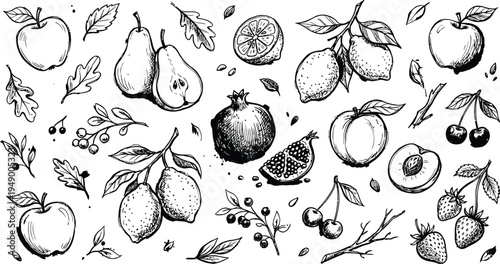 Hand drawn fruits collection with apples pears lemons and berries for natural products