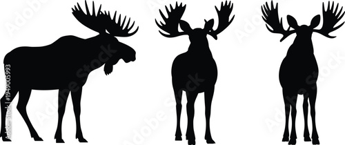 Moose silhouette collection, wild elk deer animal vector set with large antlers, wildlife mammal icons isolated on white background
