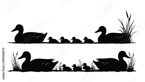 Detailed analysis of duck family silhouette illustrations in natural habitat with aquatic plants