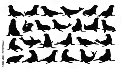 A comprehensive analysis of diverse seal silhouettes in various poses and orientations
