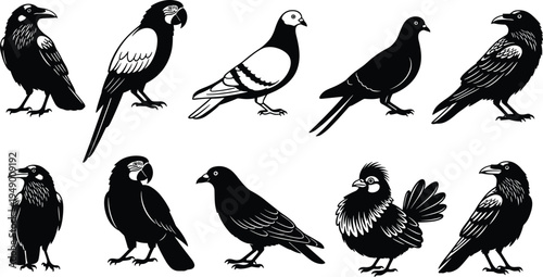 Various birds silhouette vector illustration, different species like crows, parrots, and pigeons. Ideal for animal logo and graphic design