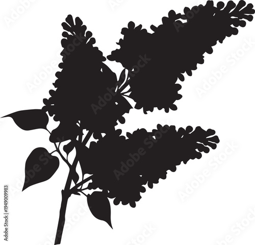 Lilac flower branch silhouette illustration with dense blossoms and leaves for nature art