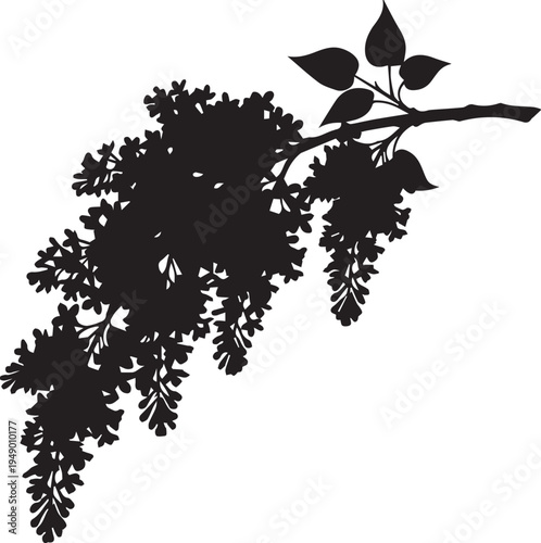 Vector silhouette illustration of blooming lilac branch with flowers and leaves in garden