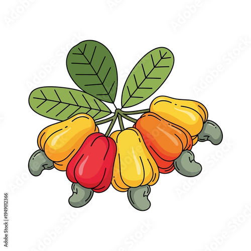 Colorful Hand-Drawn Cashew Fruits with Nuts and Green Leaves Cluster Vector Illustration on White Background