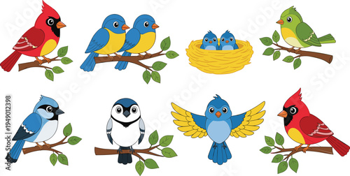 Cute bird character set cardinal bluebird nest collection cartoon avian mascot family on tree branch cad drawing flat vector illustration isolated on white.
