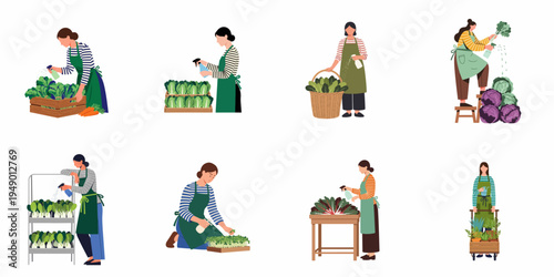 Flat vector illustration set of female gardeners and farmers caring for fresh vegetables, spraying water on greens, and harvesting produce on a white background.