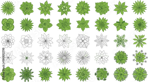 Stylized botanical illustration grid featuring diverse plant and flower top-down views, showcasing intricate leaf shapes, natural patterns, and artistic green and black line art designs