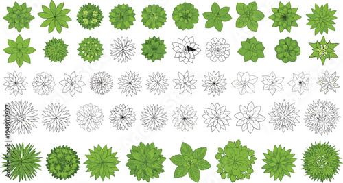 Stylized grid of diverse plant and flower top-down designs, including colored and line-drawn variations, showcasing botanical diversity for landscape, architecture, and illustration projects.