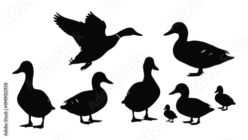 A serene and harmonious family of ducks in a peaceful environment with various sizes and postures