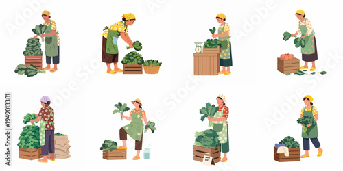 Set of illustrations featuring female farmers harvesting, sorting, and selling fresh green leafy vegetables in various poses on a white background.