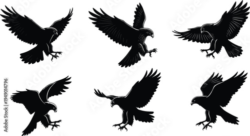 Bird silhouette, flying eagle, hawk raptor, predator bird, landing pose, attacking bird, wings spread, talons extended, wildlife art, nature illustration