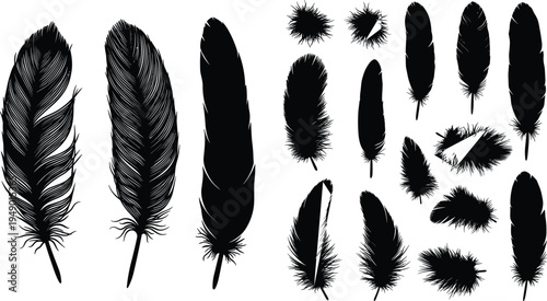 Black feather silhouettes, detailed feather illustration, bird plumage, natural design, flying feather art, decorative element, boho style, tattoo inspiration, vector set, isolated background