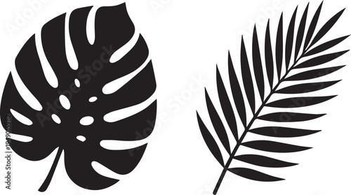 Tropical Exotic Monstera and Palm Leaf Nature Silhouettes