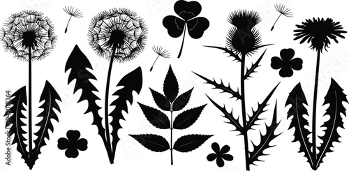 A vibrant overhead shot of a fresh Mediterranean salad featuring ripe cherry tomatoes, sliced cucumbers, and feta cheese crumbles on a rustic wooden table