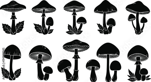 A vibrant overhead shot of a fresh Mediterranean salad featuring ripe cherry tomatoes, sliced cucumbers, and feta cheese crumbles on a rustic wooden table