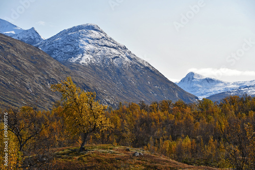 Colorful autumn in Jotunheimen national park in Norway