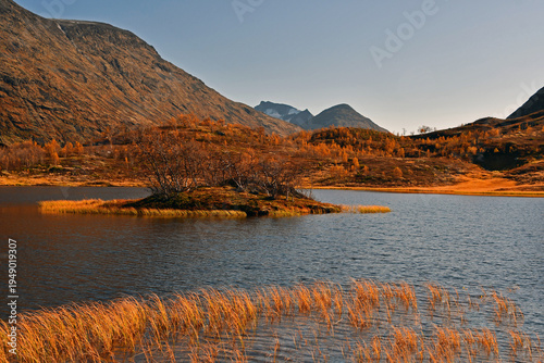 Colorful autumn in Jotunheimen national park in Norway