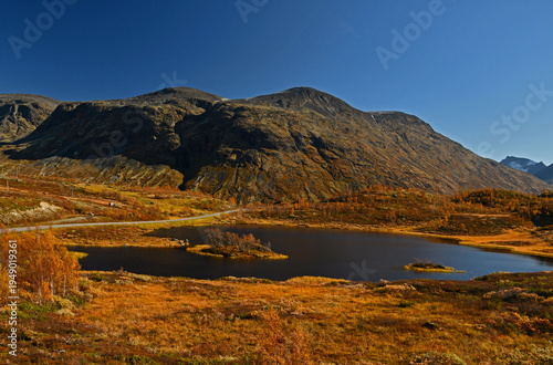 Colorful autumn in Jotunheimen national park in Norway