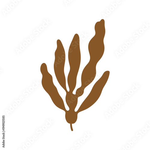 Brown Seaweed Vector Illustration on White vector illustration
