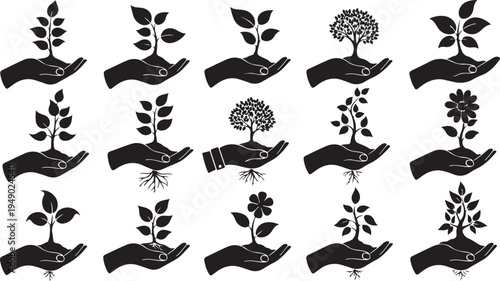 Black and white hands holding growing plants and flowers
