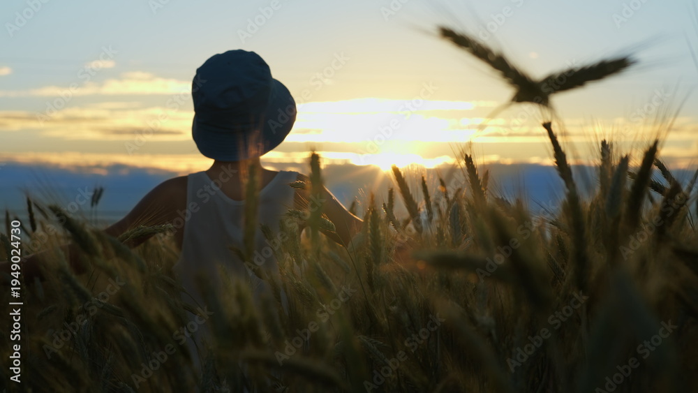 Fototapeta premium boy walking through a golden wheat field at sunset, back view against a beautiful sky, have fun and enjoy