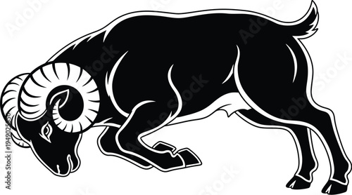 Black and white illustration of a ram with large curved horns bowing its head