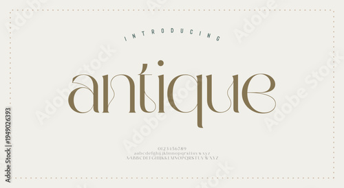 Antique luxury alphabet letters font. Typography elegant classic lettering serif decorative vintage retro concept fonts and number. vector illustration