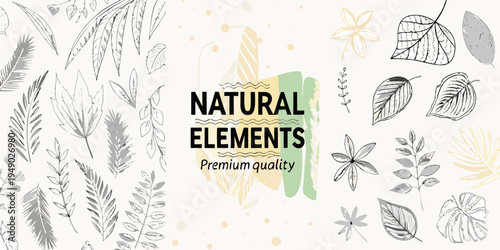 Botanical illustration with leaves flowers and the word natural