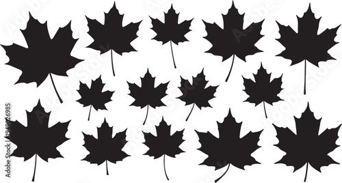 Collection of black maple leaves on white background illustration