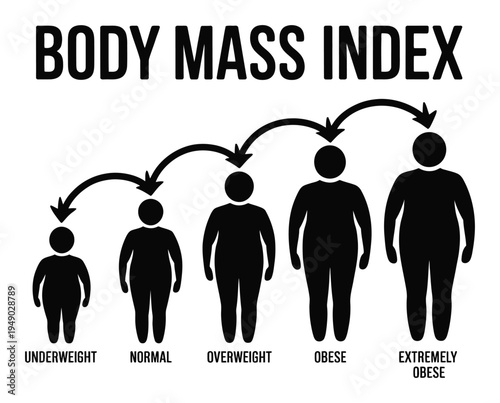 Body Mass Index BMI Categories Vector Illustration